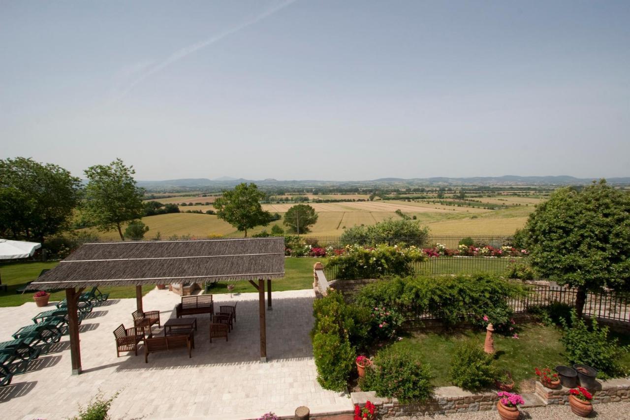 Poggio Martino Cignano (Tuscany)